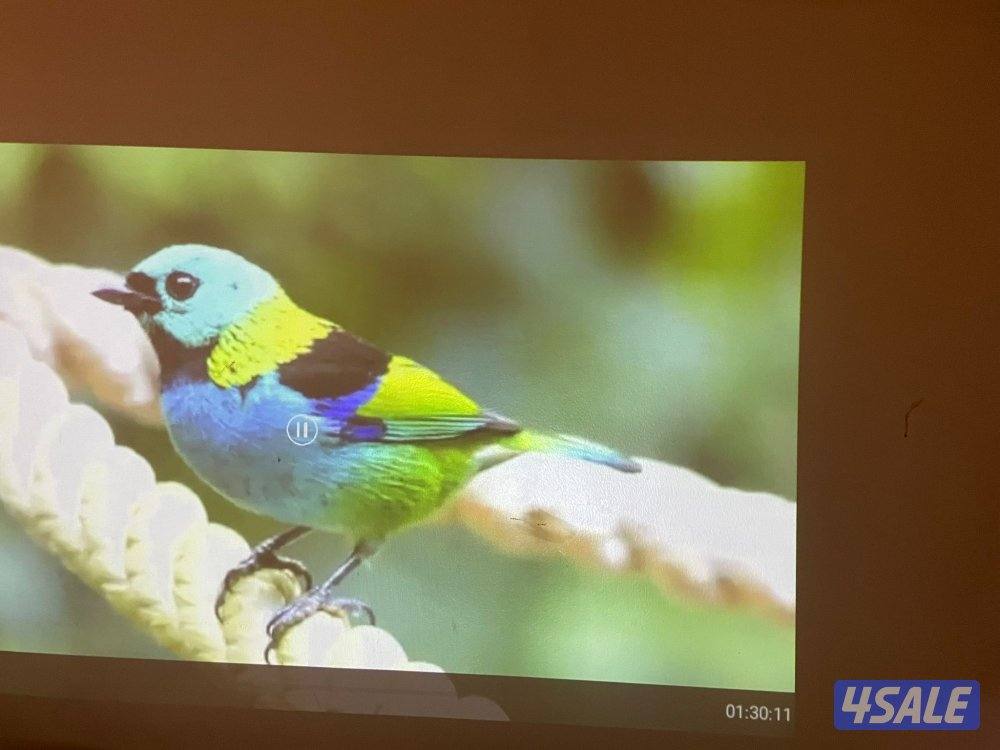 بروجكتر انبولا من انكر سمارت بطاريه ٤ ساعات5