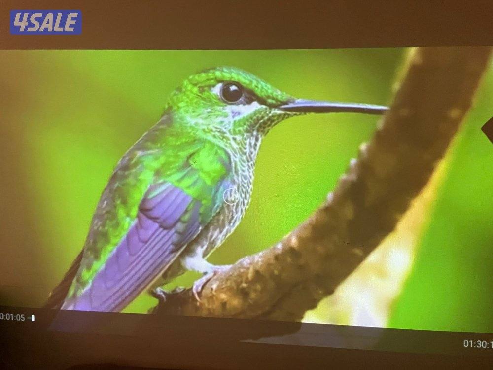 بروجكتر انبولا من انكر سمارت بطاريه ٤ ساعات4