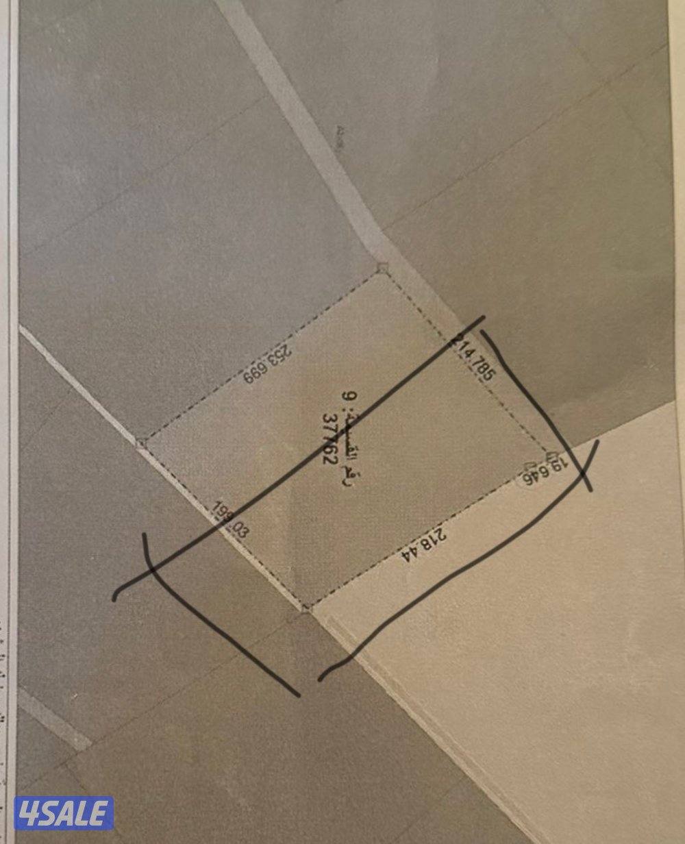 للبيع مزرعة بالعبدلي ٢٥ الف افراد قطعة ١ بطن وظهر وسكه .0