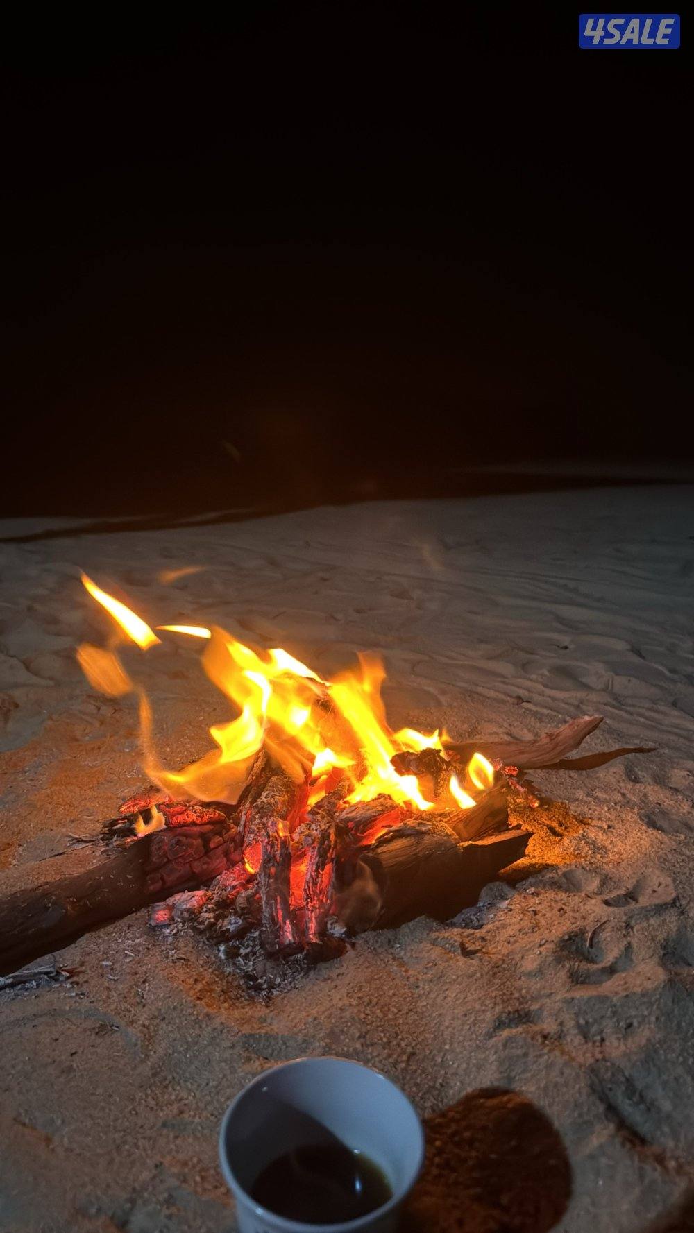 للبيع حطب صفصاف شرط ناشف حمل عربانه فل للغماره شبوبه طيب0