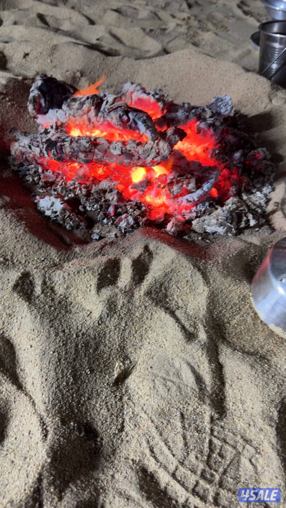 للبيع حطب صفصاف شرط ناشف حمل عربانه فل للغماره شبوبه طيب3