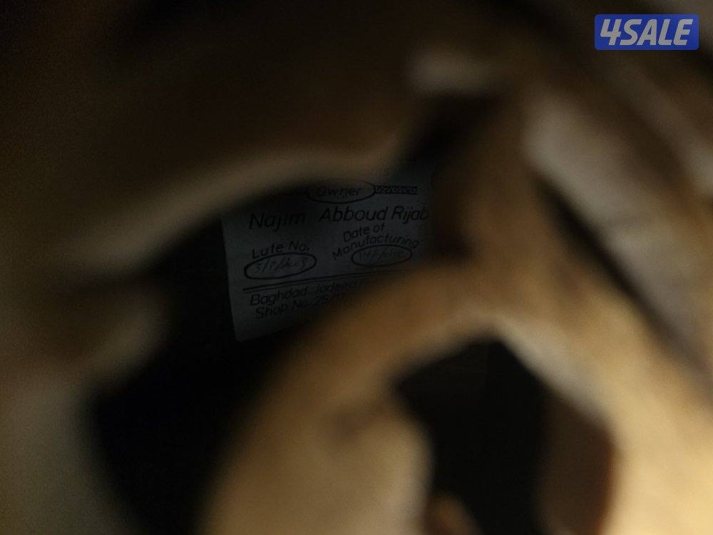 عود عراقي ( نجم عبود )3