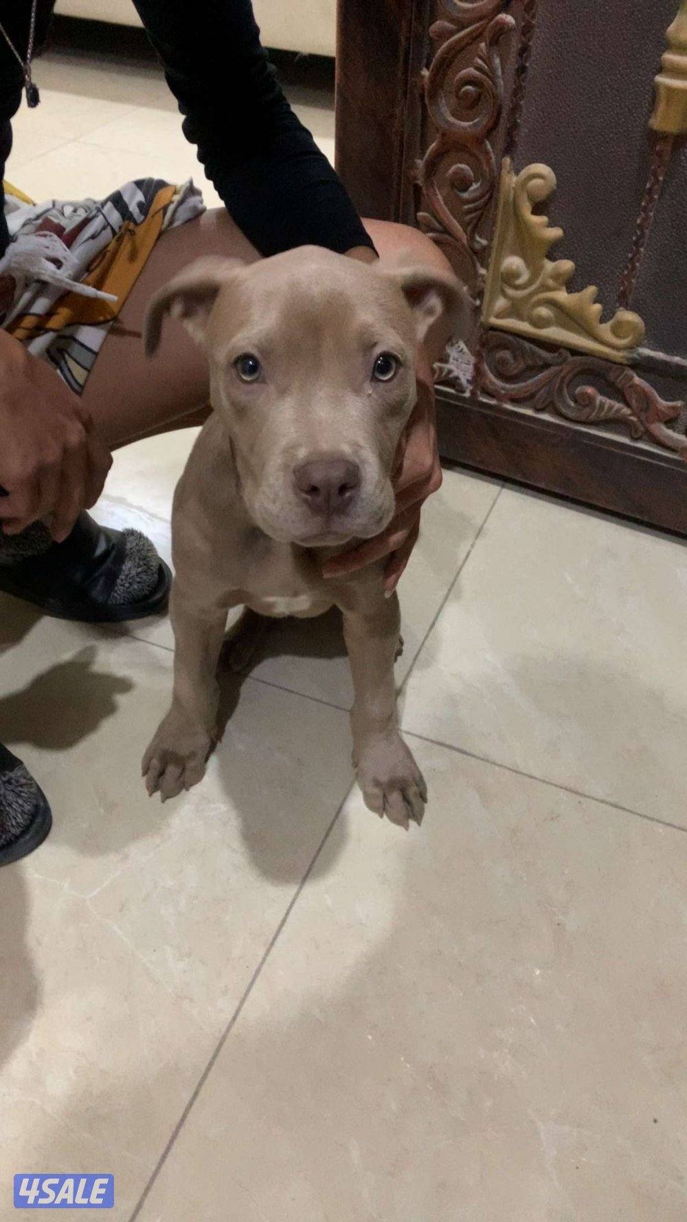 بتبول تواصل واتس اب فقط2