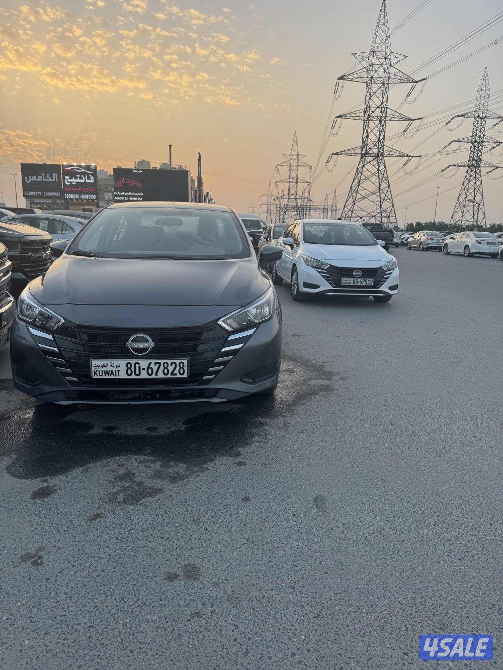 جمله ولا مفرد 20244