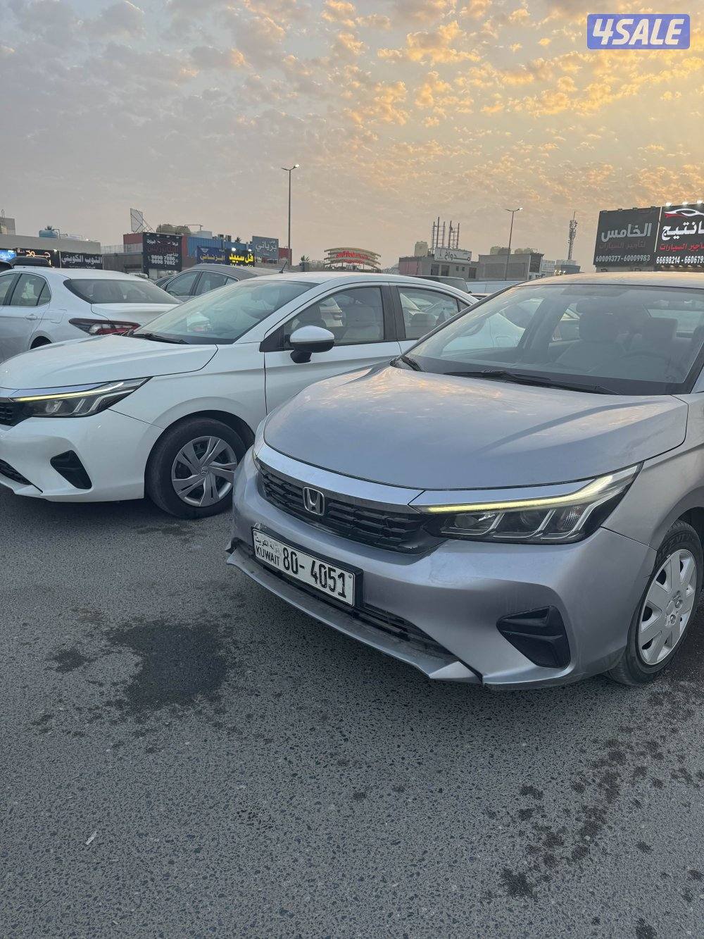 جمله ولا مفرد 20249