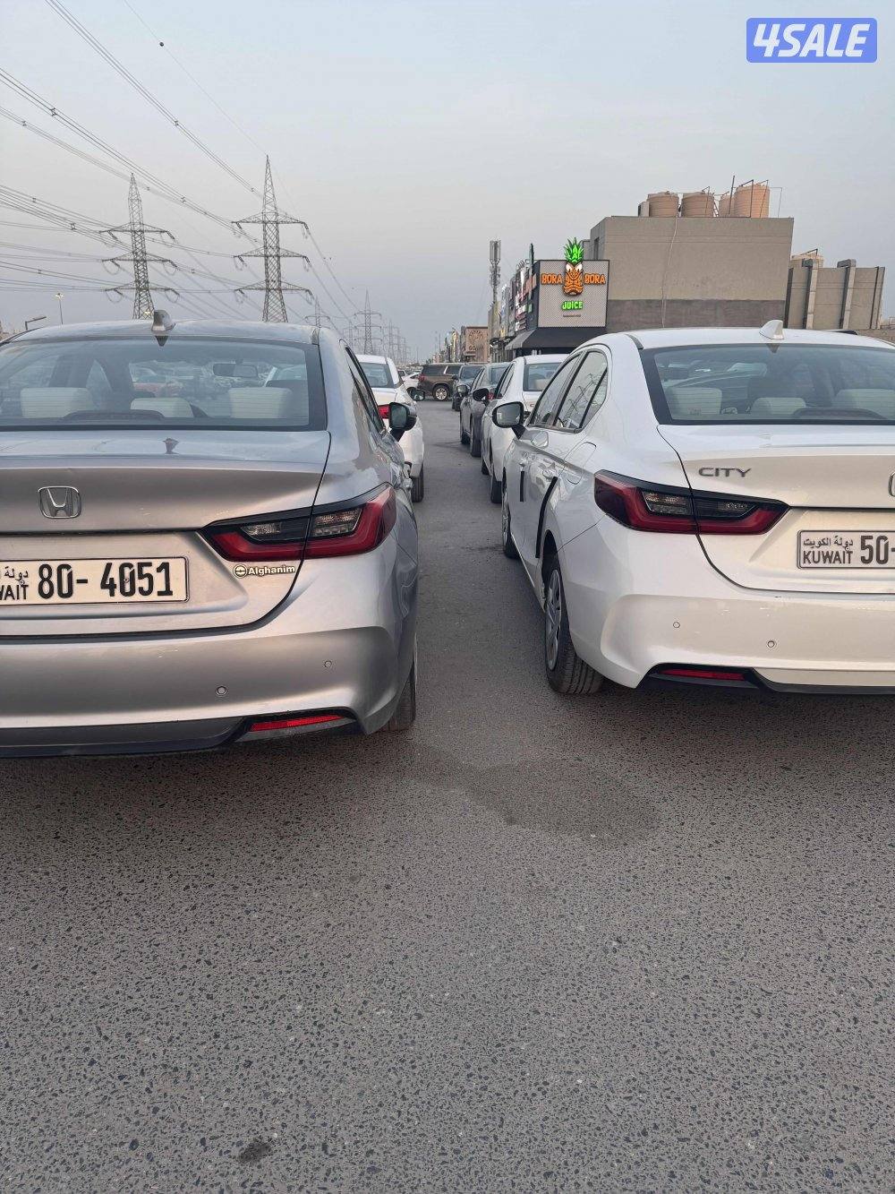 جمله ولا مفرد 202410