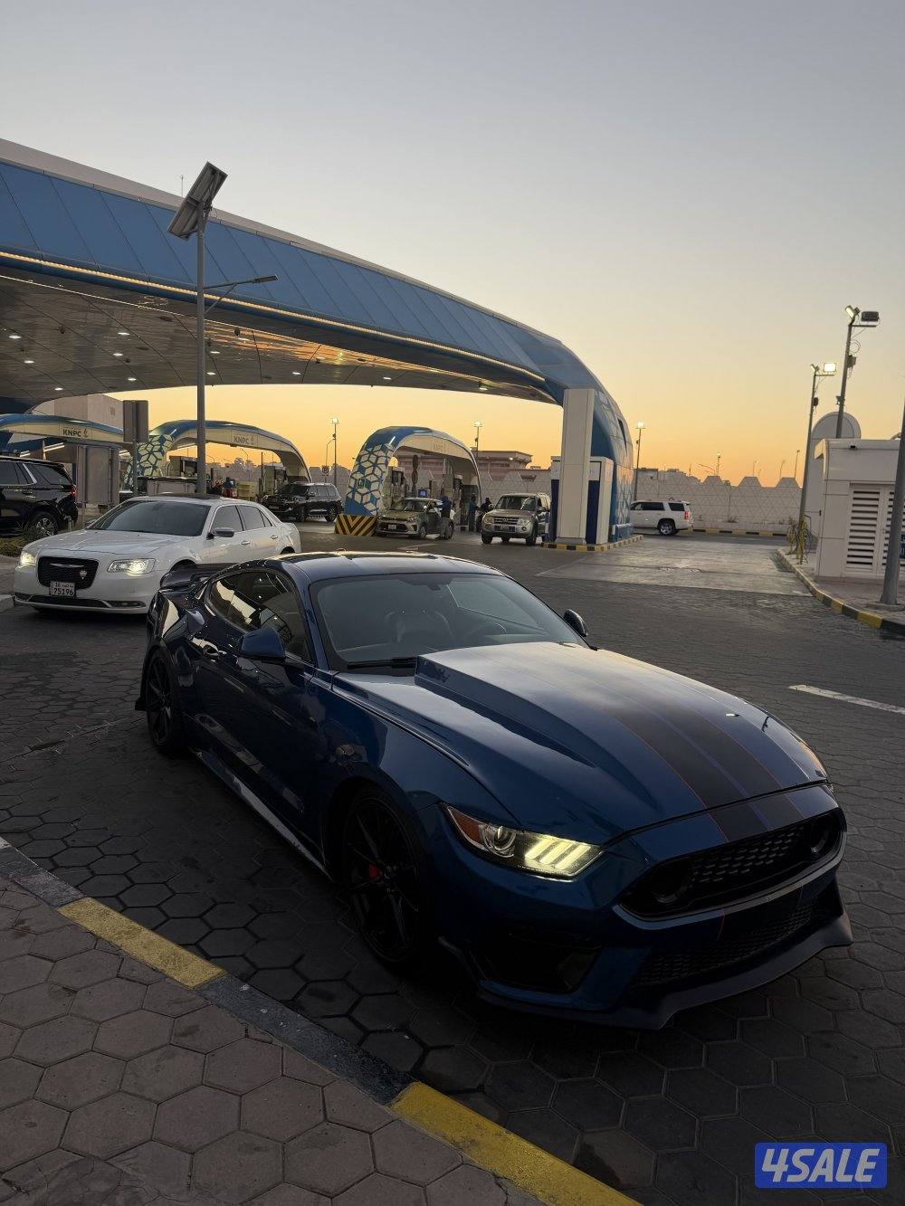 موستنج 2017 شرط الفحص5