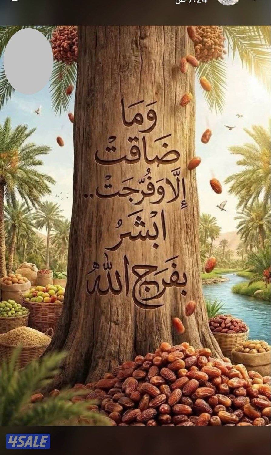 لدينا قسائم سكنية0