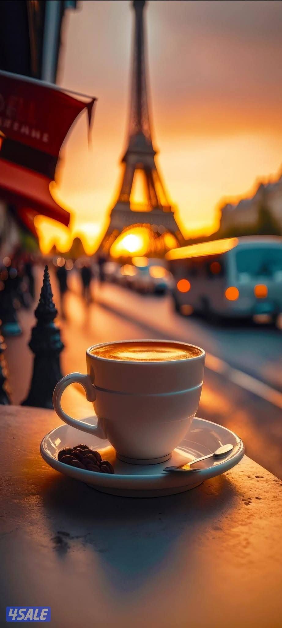 مطلوب وكيله مرافقه0