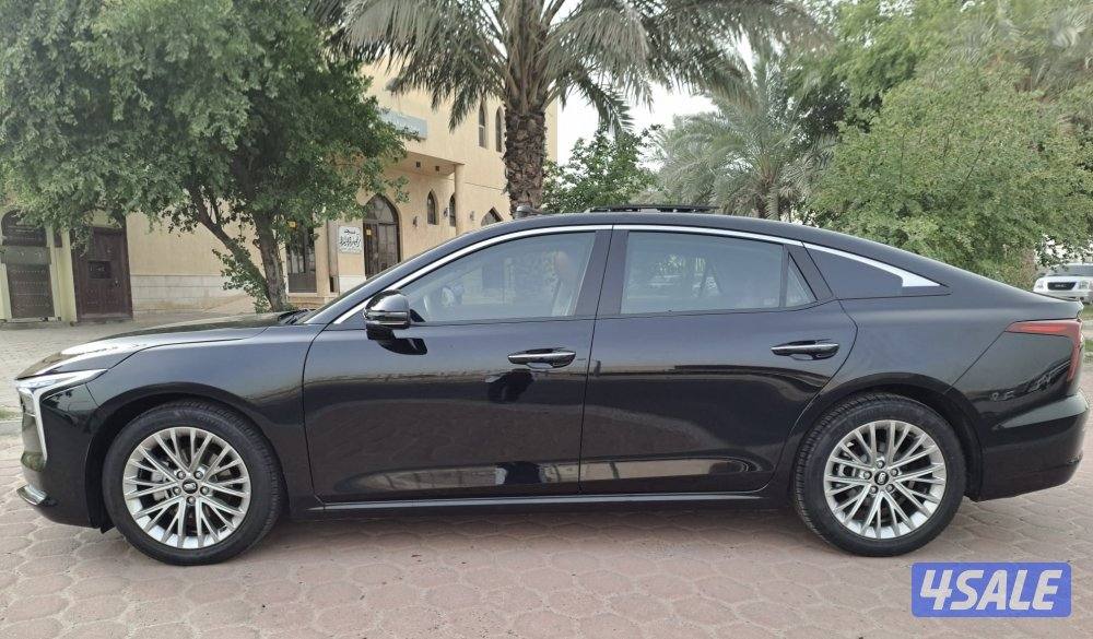 بيستون B70 20253