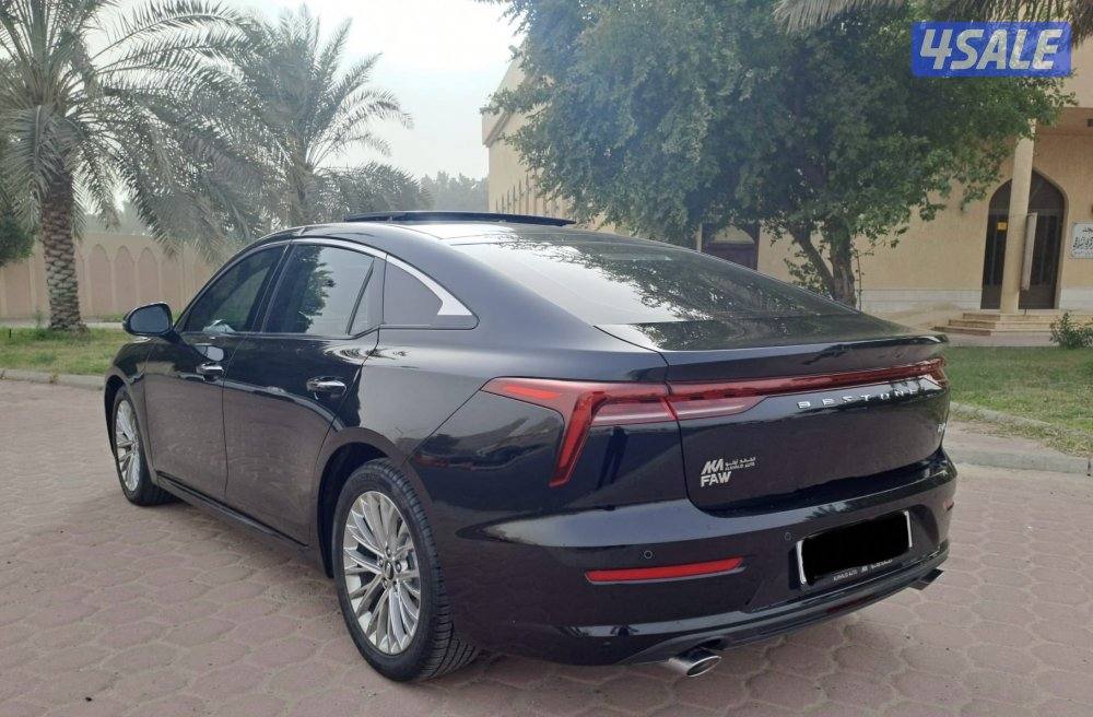 بيستون B70 20255