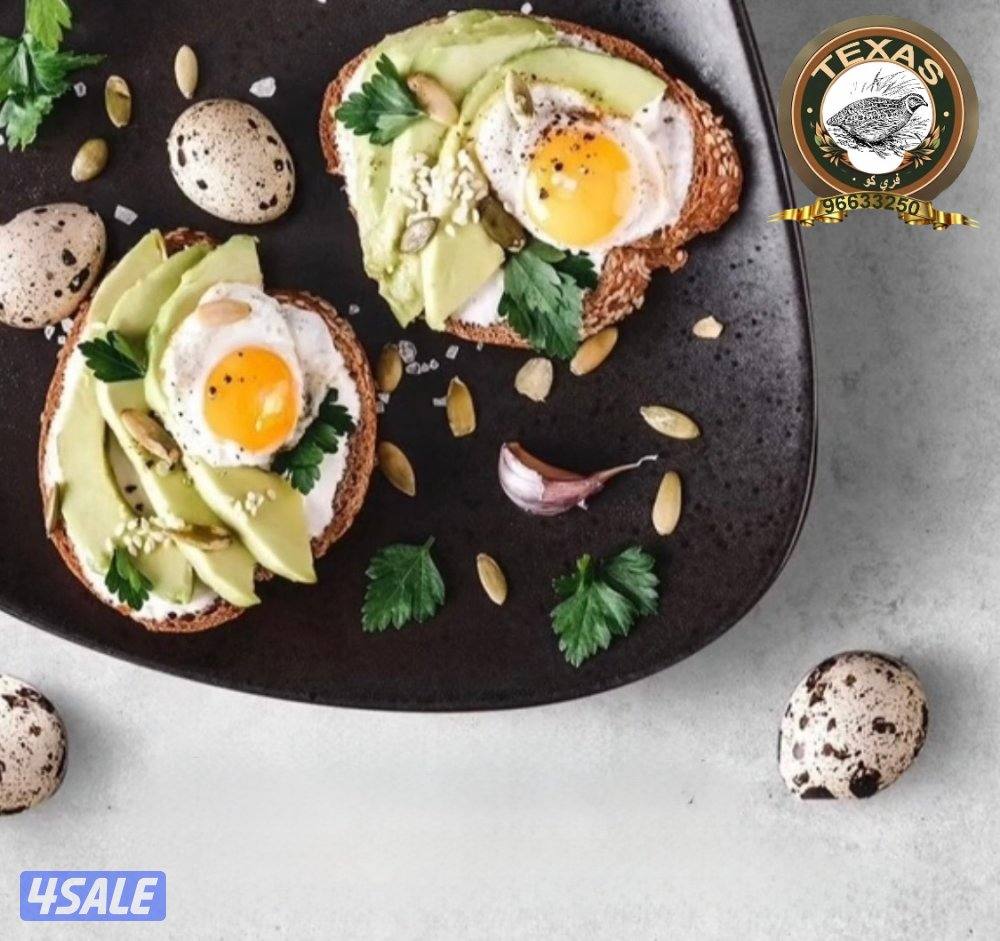 متوفر بيض فري تاكسس جامبو أمريكي2