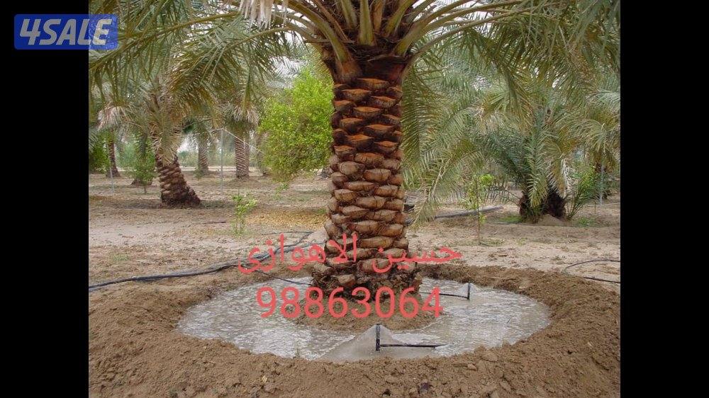 حسين الاهوازى شيل نخل وزراعة تنظيف تكريب1
