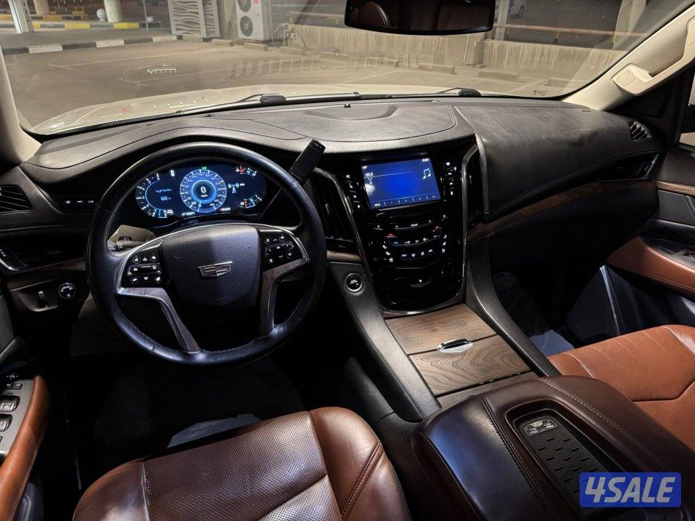 الشرق الصوابر8