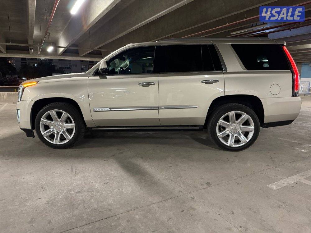 الشرق الصوابر7