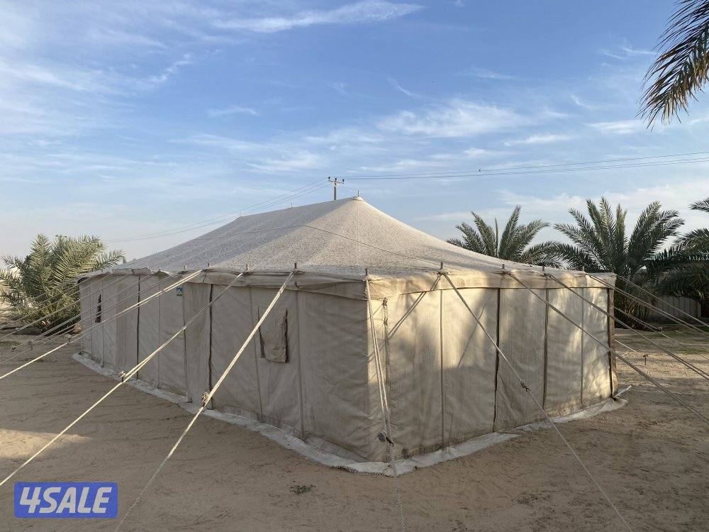 خيمة الصباح عشره في خمسه4