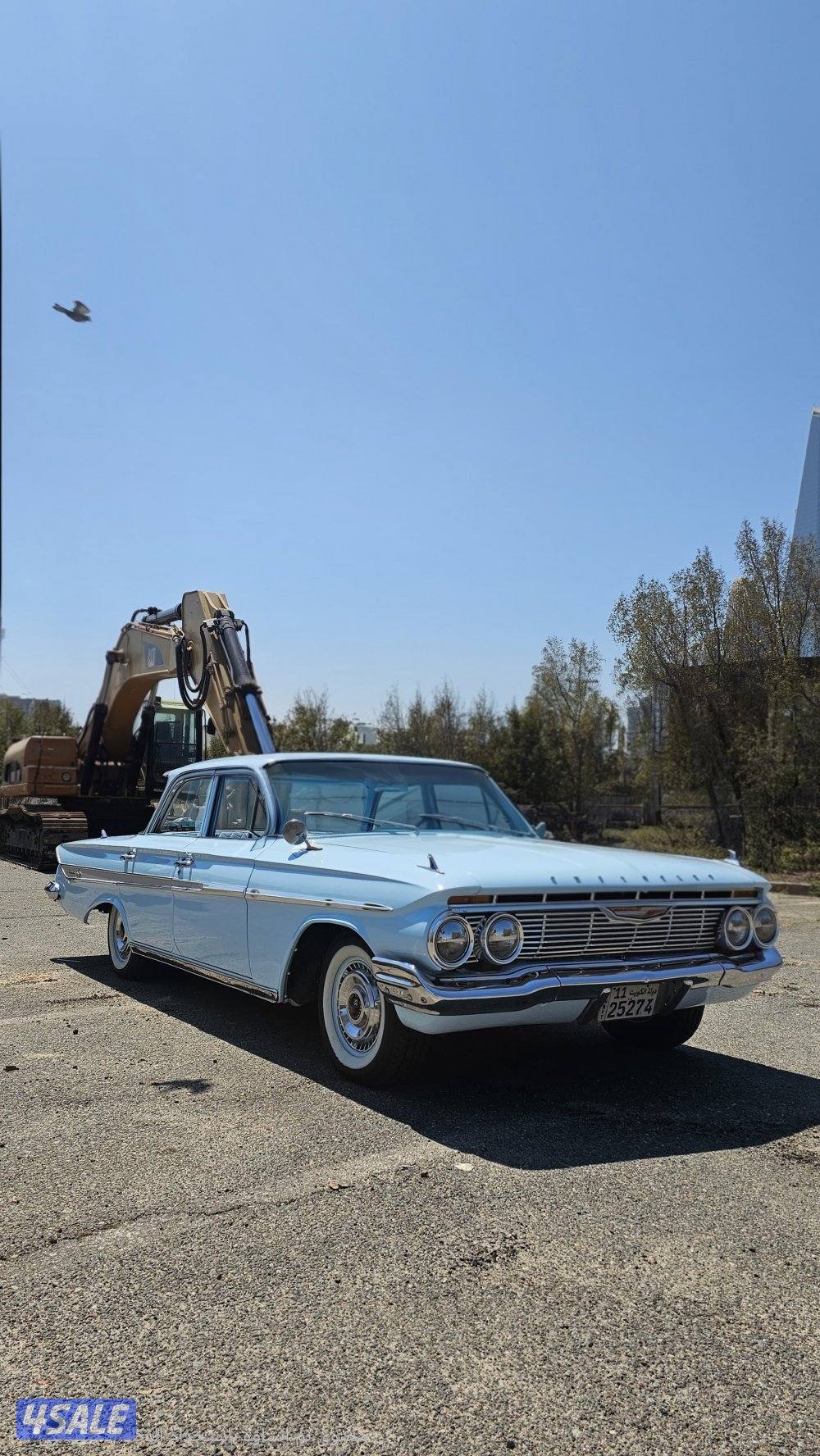 شفر امبالا 19610