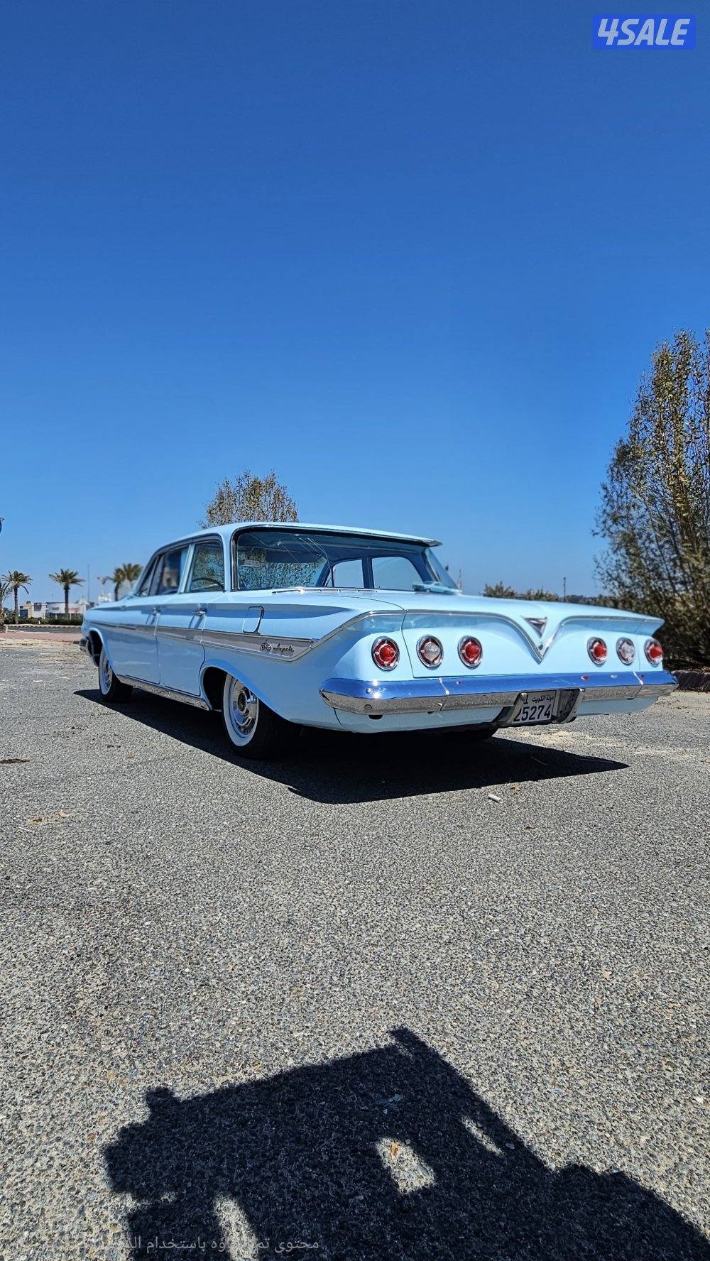 شفر امبالا 19611