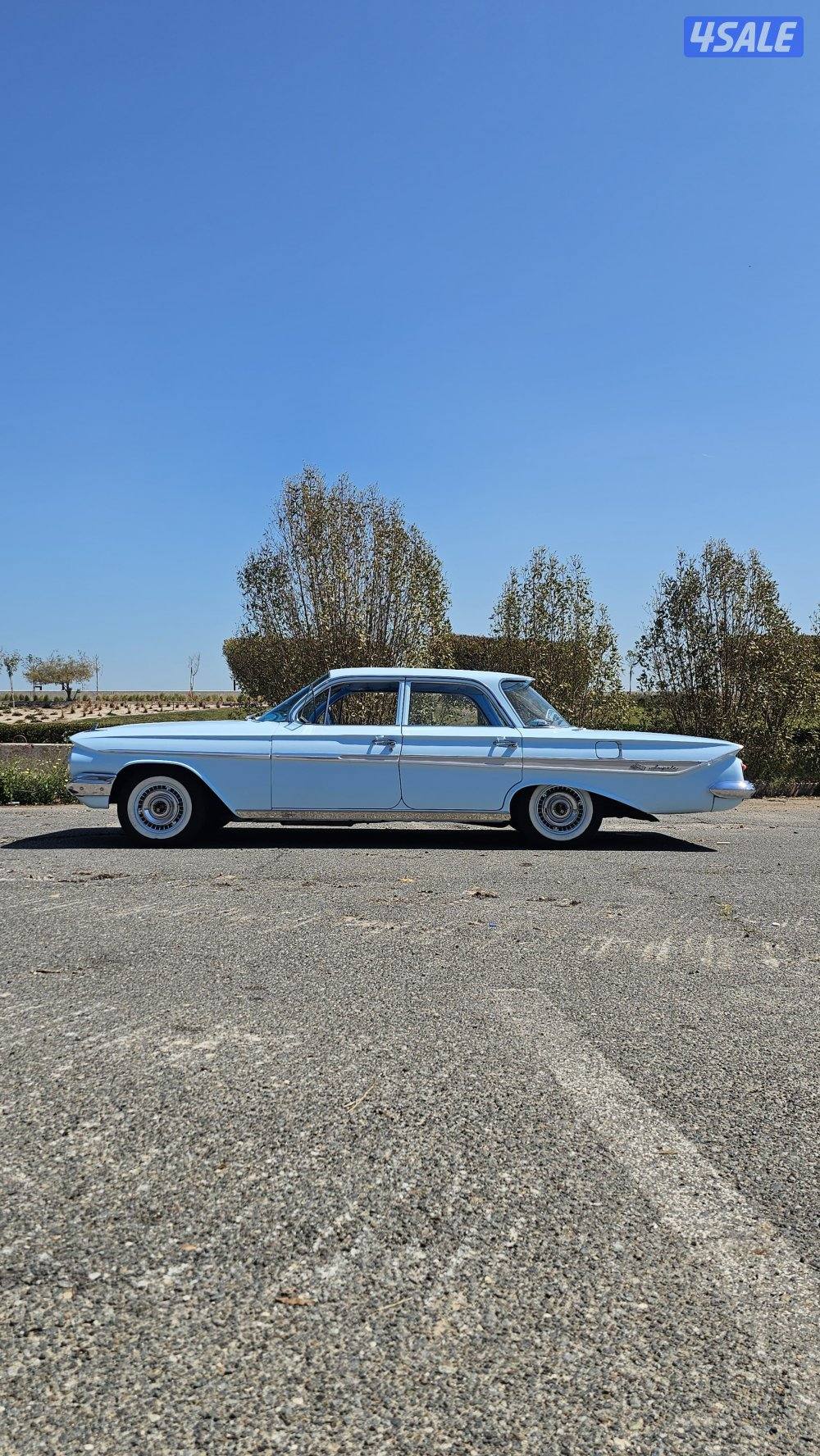 شفر امبالا 19612