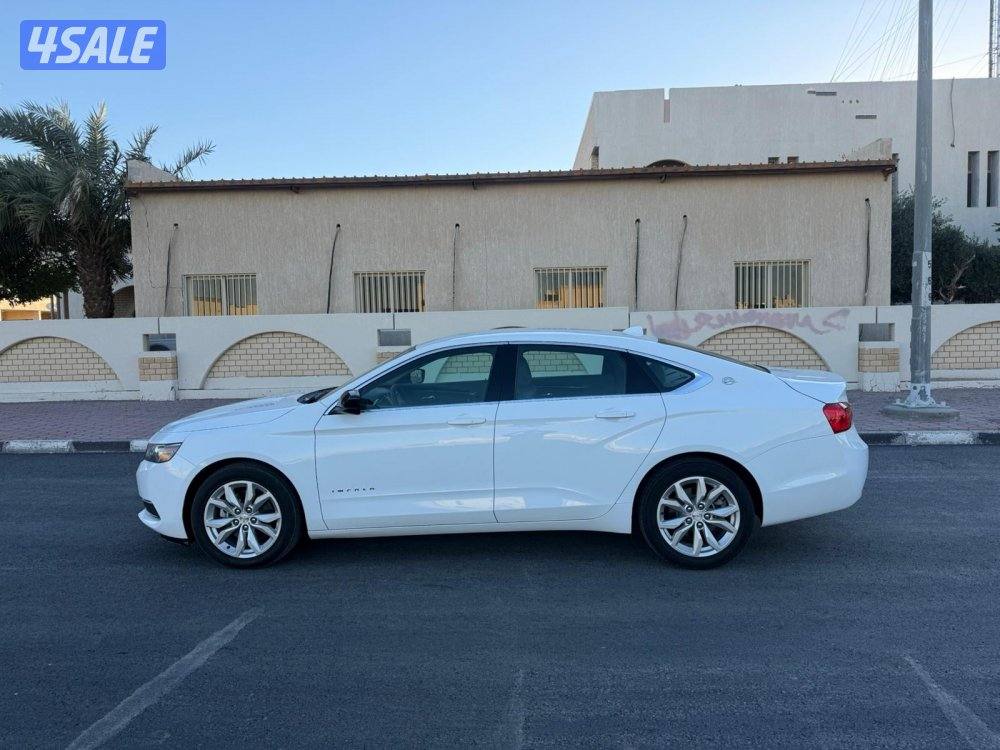 امبالا 2019 صبغ الوكاله LT الغانم0