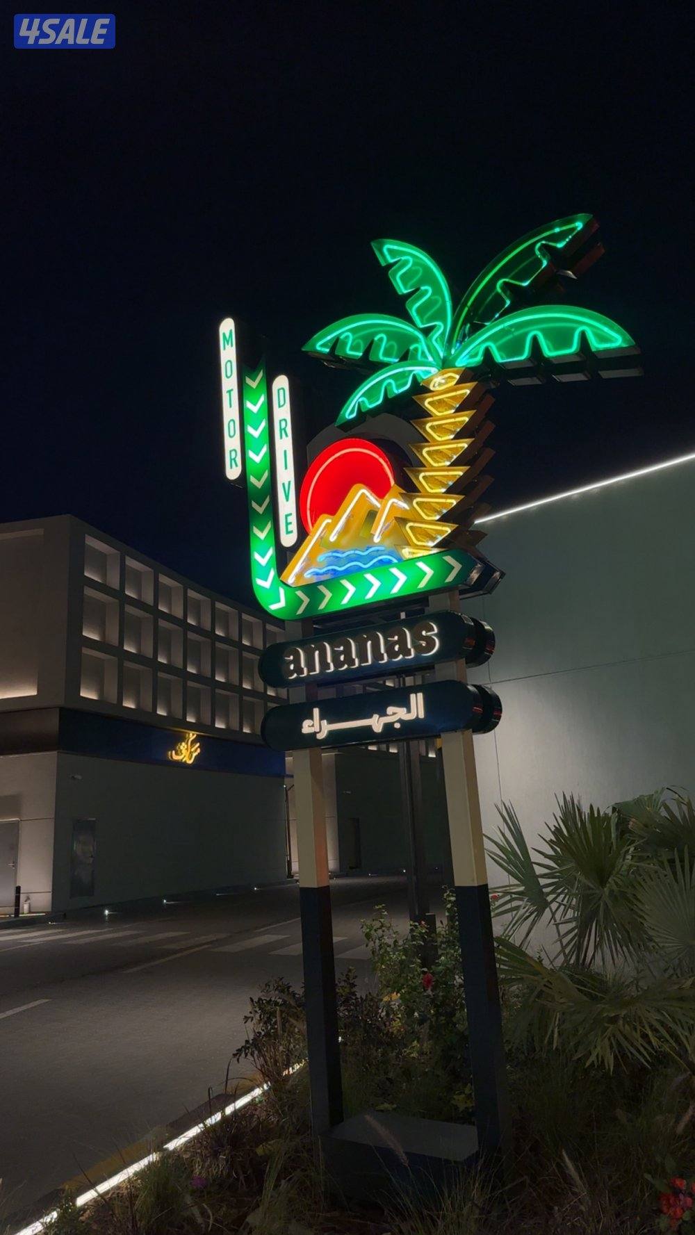 حصان مصري بلدي سلم يركبه الصغير والكبير فيه حراره خفيفه يطررب الخيال2