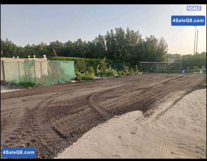 نساف لتوريد اسفلت وملينج رمل مغسول0