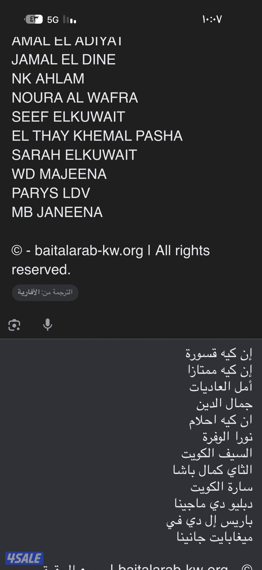 حصان مصري بيور1