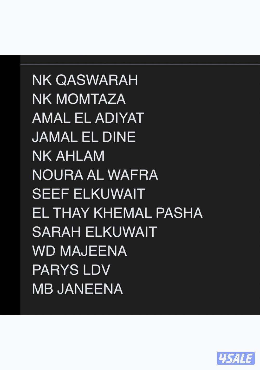 حصان مصري بيور2