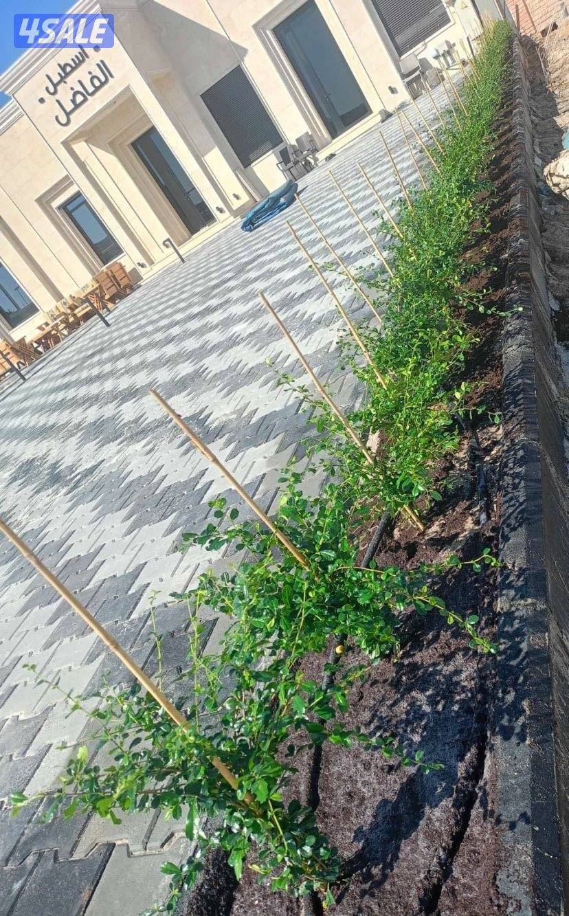 اقل سعر بالكويت +خصم على المسحات الكبيره فوق ال 150متر4