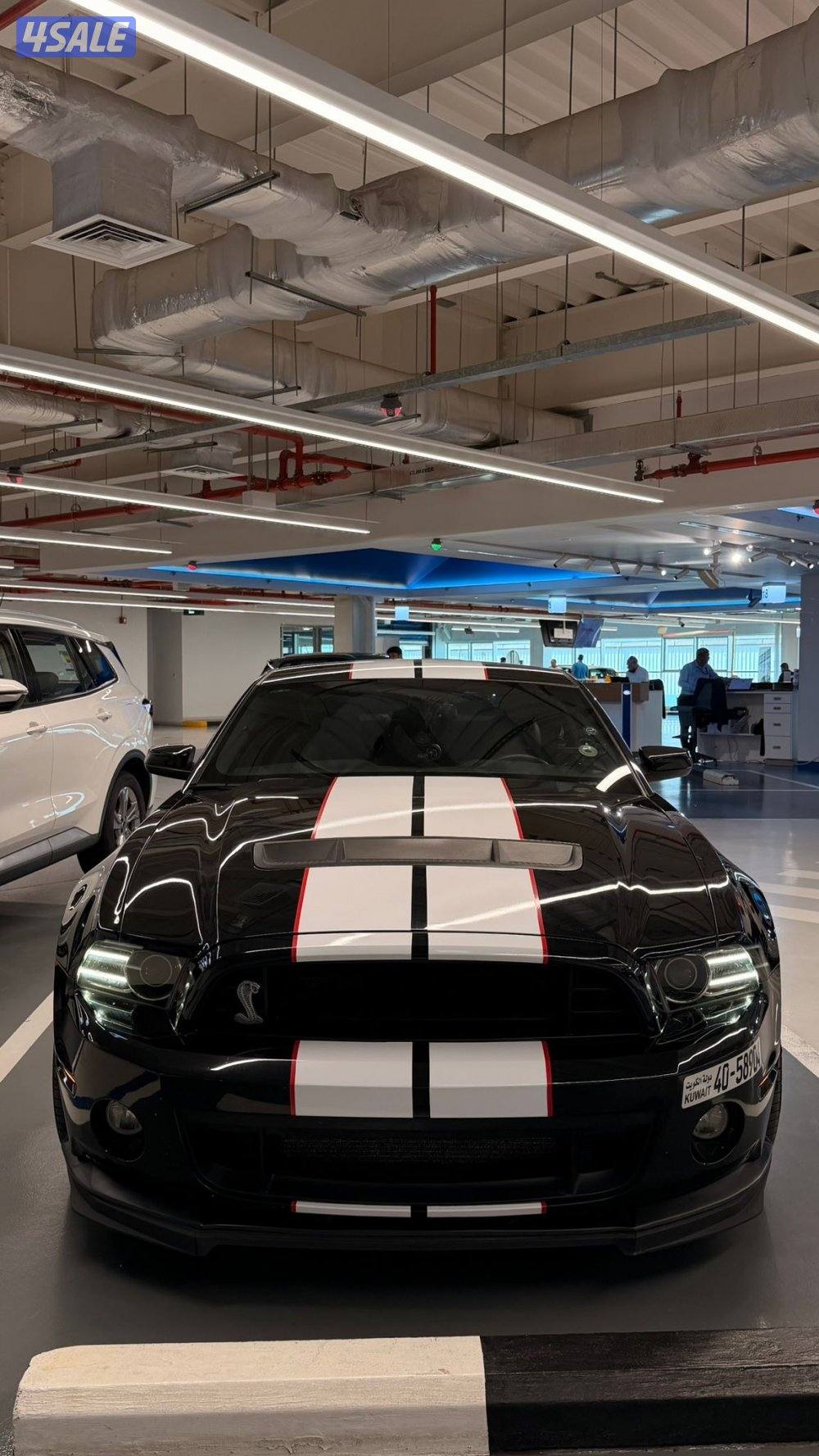 Mustang Shelby svt20147