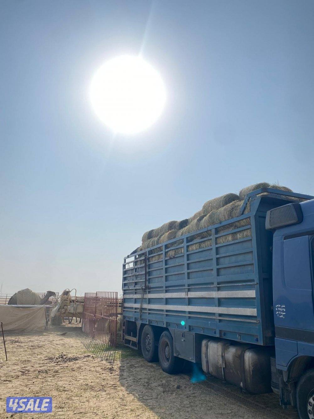سحب شاليهات سحب عرزاله نقل اعلاف نقل عزب كامله نقل غنم3