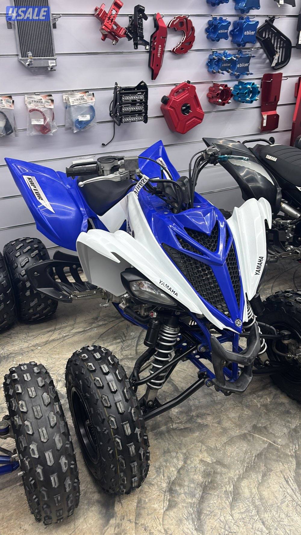 جنوب السرة1