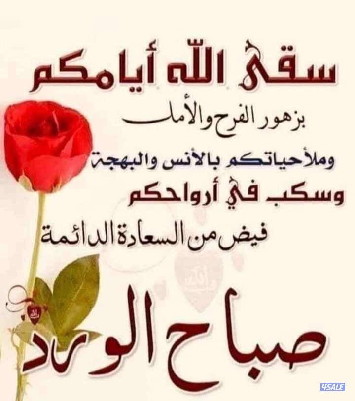 للبيع بيت فى الظهر دورين شارع واحد نظيف جدا0