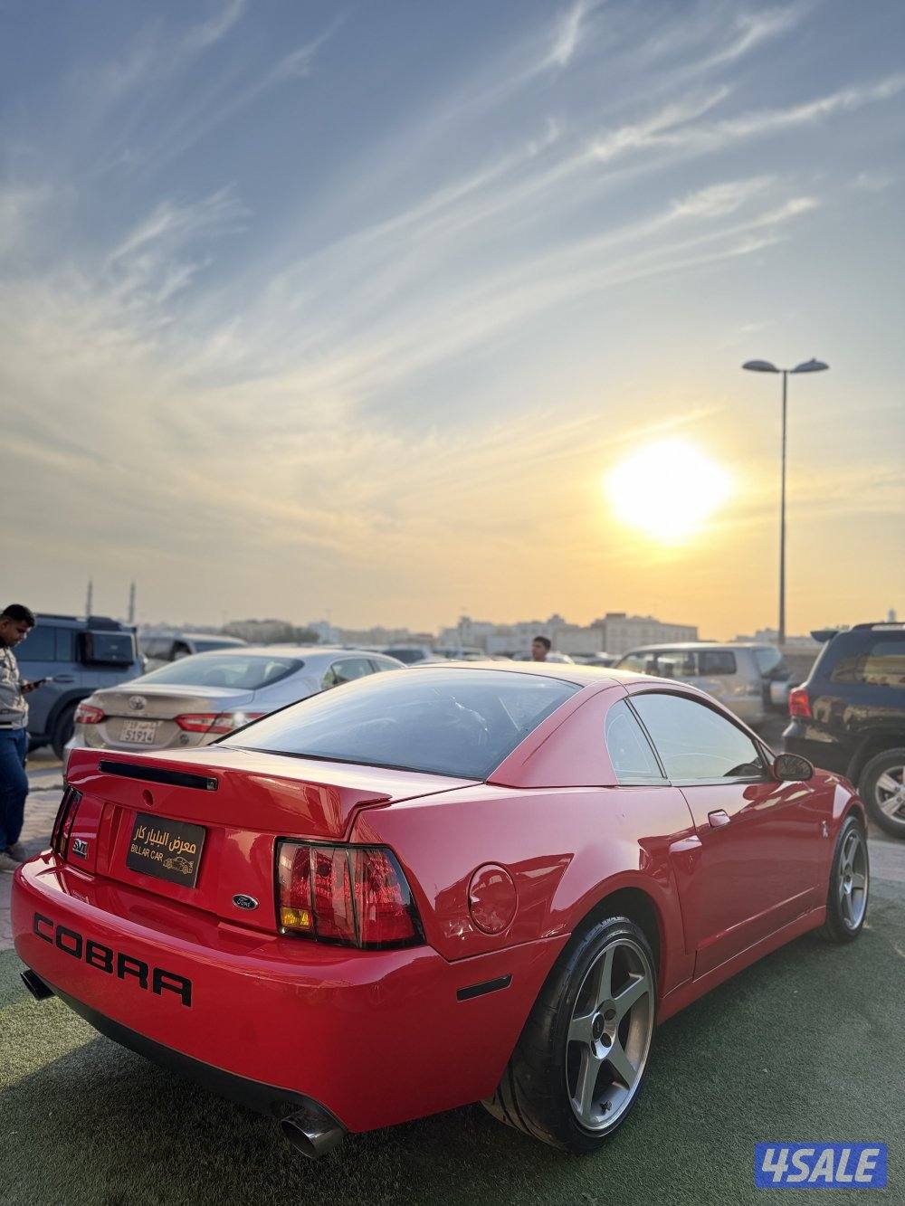 موستنغ مديل 2000 قير عادي محول شلبي SVT اصلي بل كامل شاصي جيد4