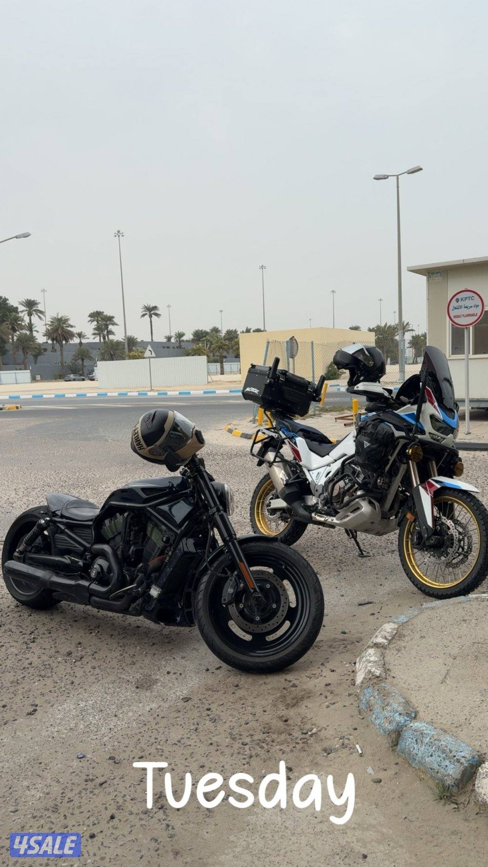 في رود للبيع1