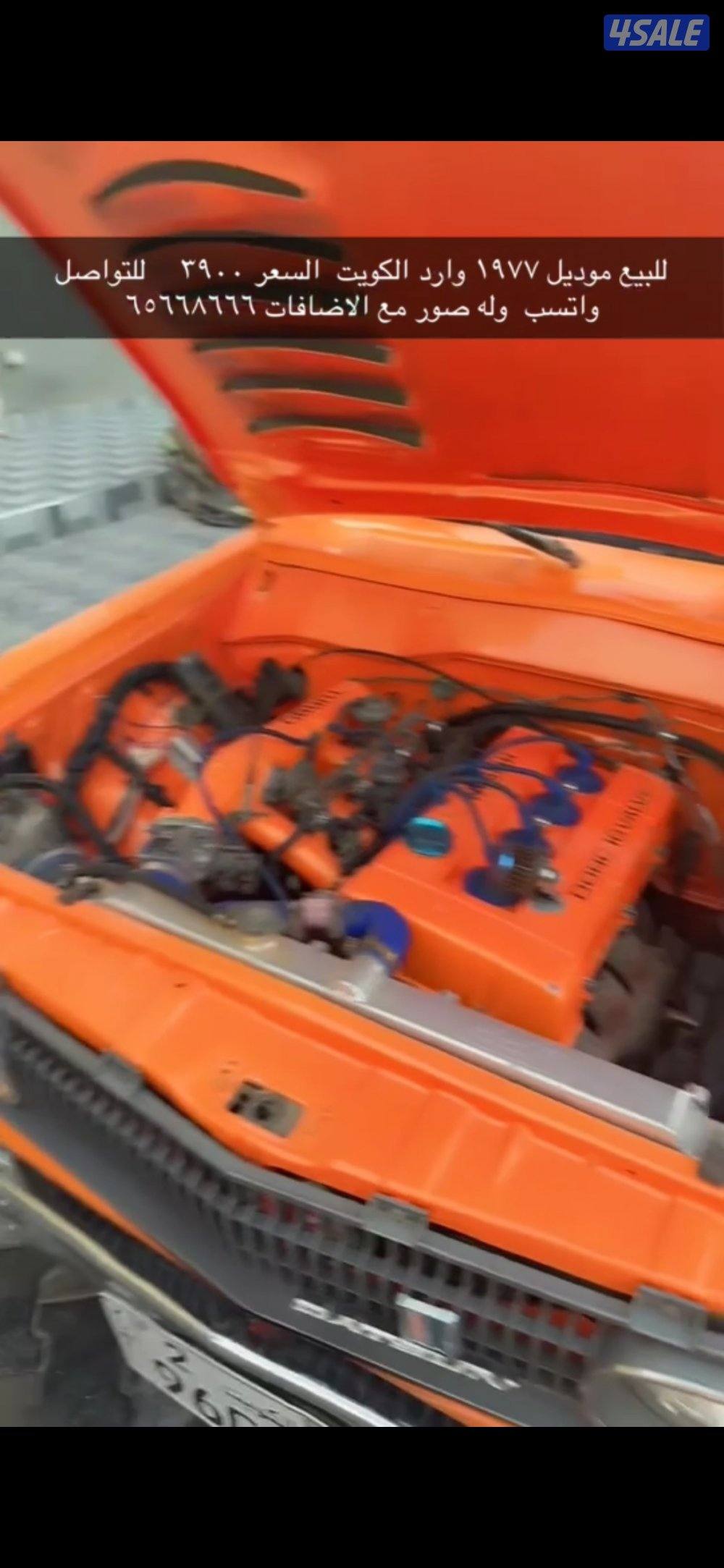 للبيع وانيت داتسن 19774