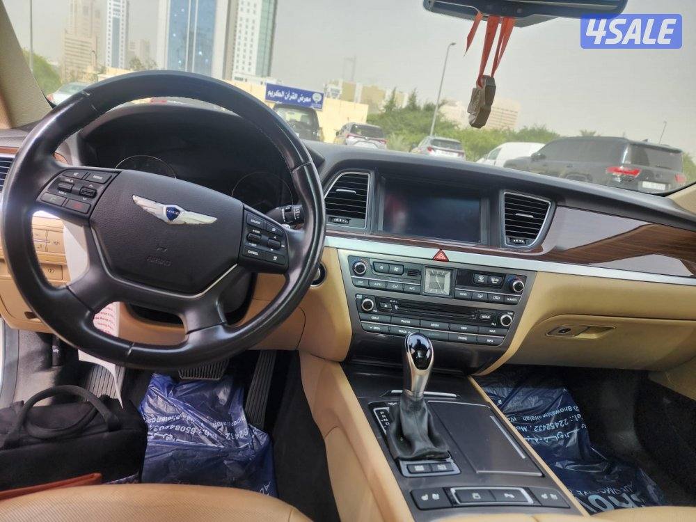 جينيسيس G8020156