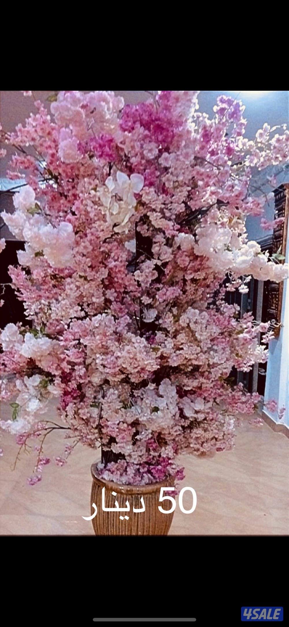 للبيع اثاث نظيف غرفة نوم و دوانية و صالة معيشه. التفاصيل كلها موجوده ب0