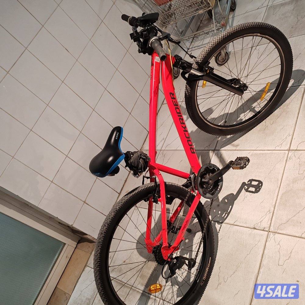 rock hard dcatalone2