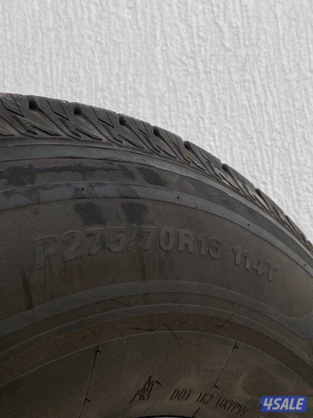 رنقات وتواير سفاري1