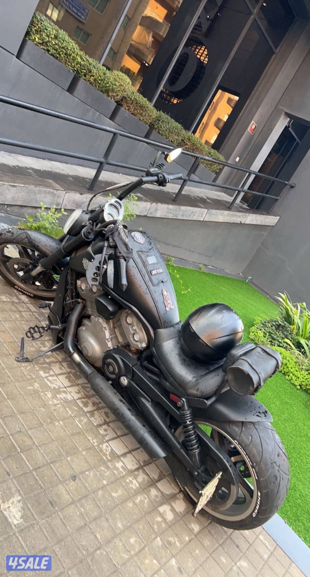 Harley V-rod Muscle0