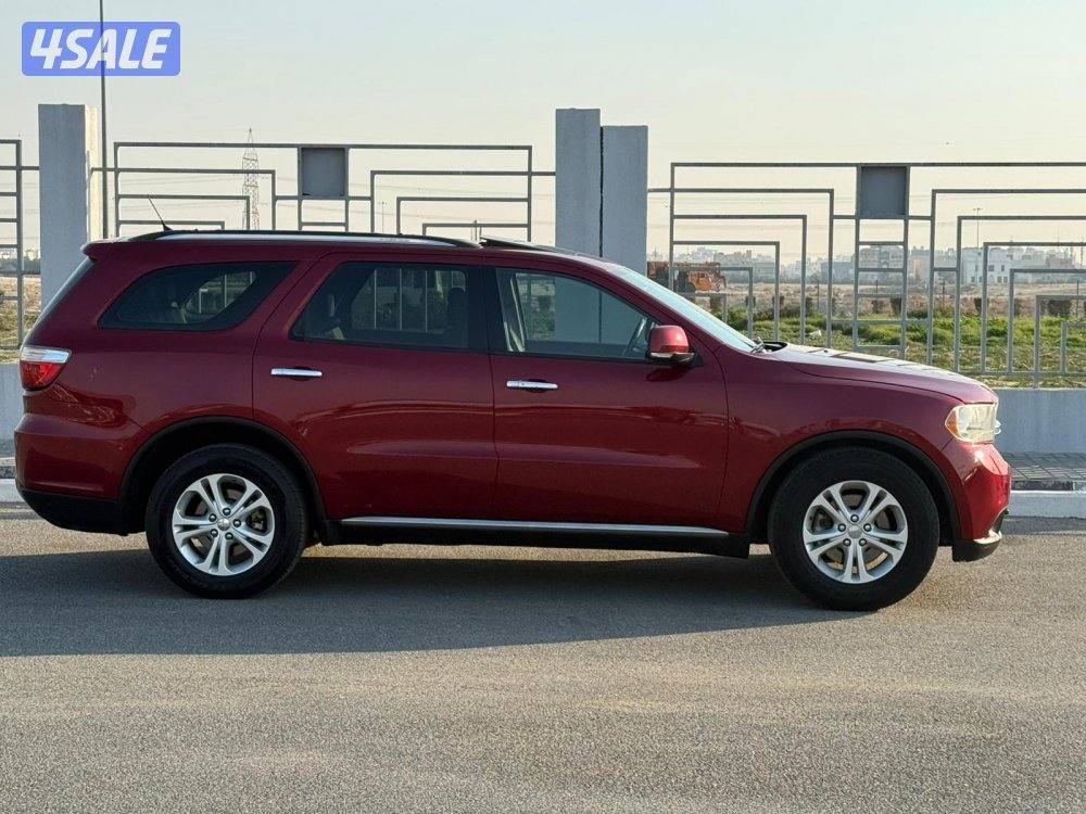 درانقو ليمتيد 20131