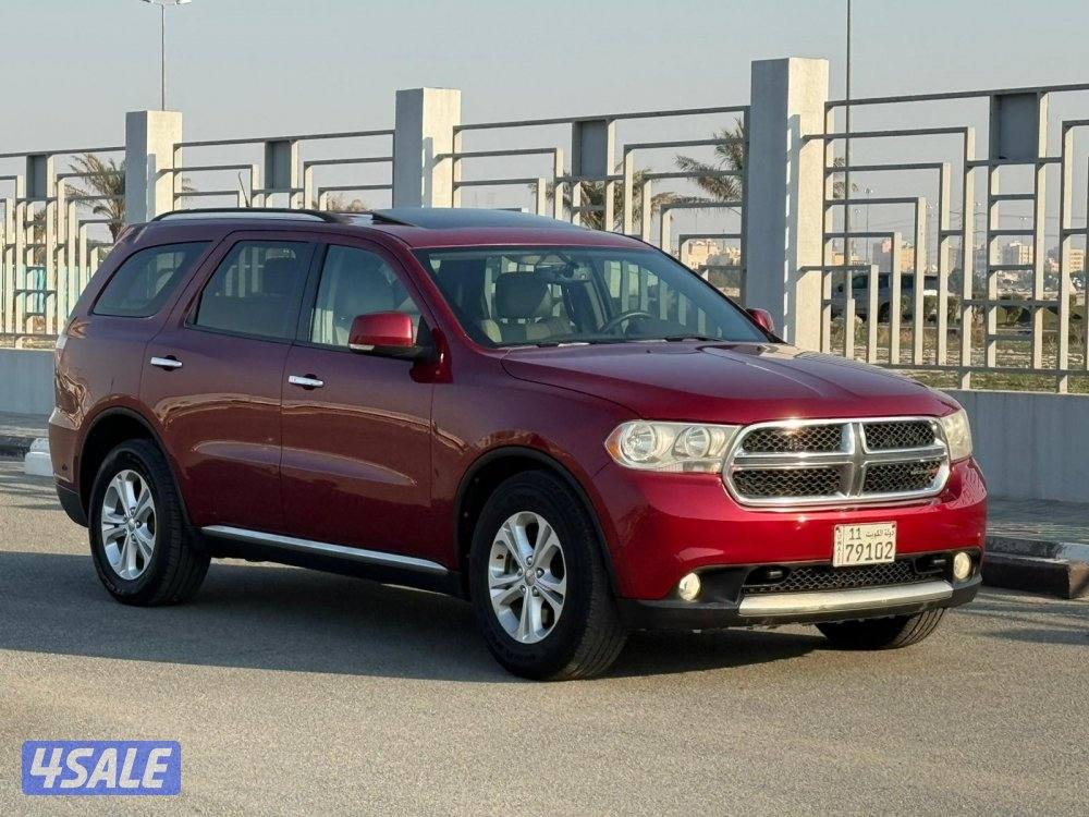 درانقو ليمتيد 20130