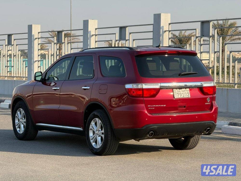 درانقو ليمتيد 20132