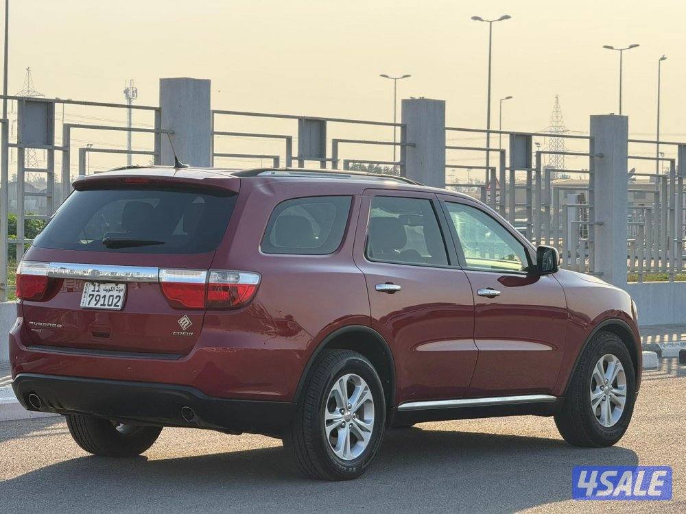 درانقو ليمتيد 20135