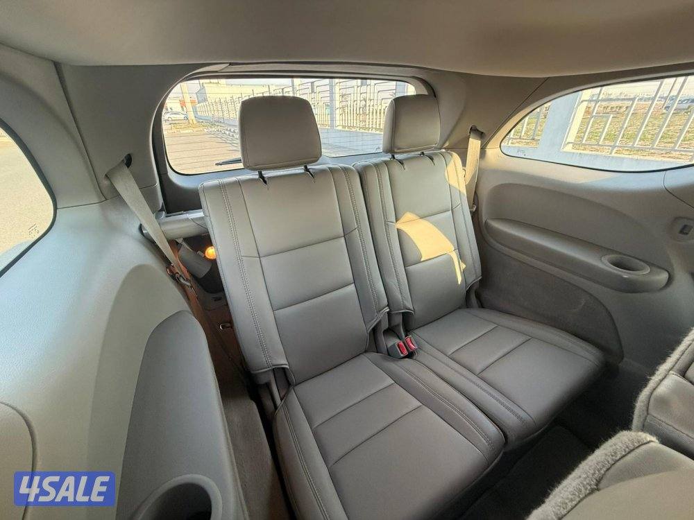 درانقو ليمتيد 20138