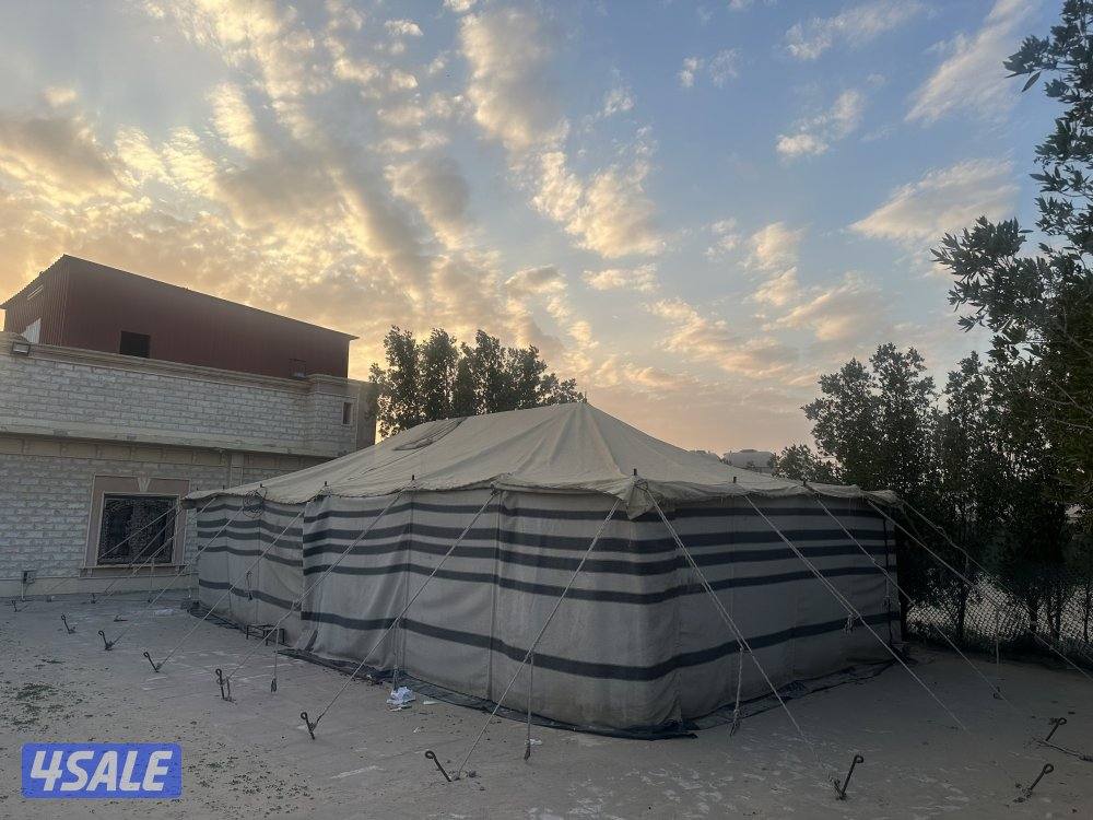 للبيع بيت شعر ١١/٦ معا الاثاث1