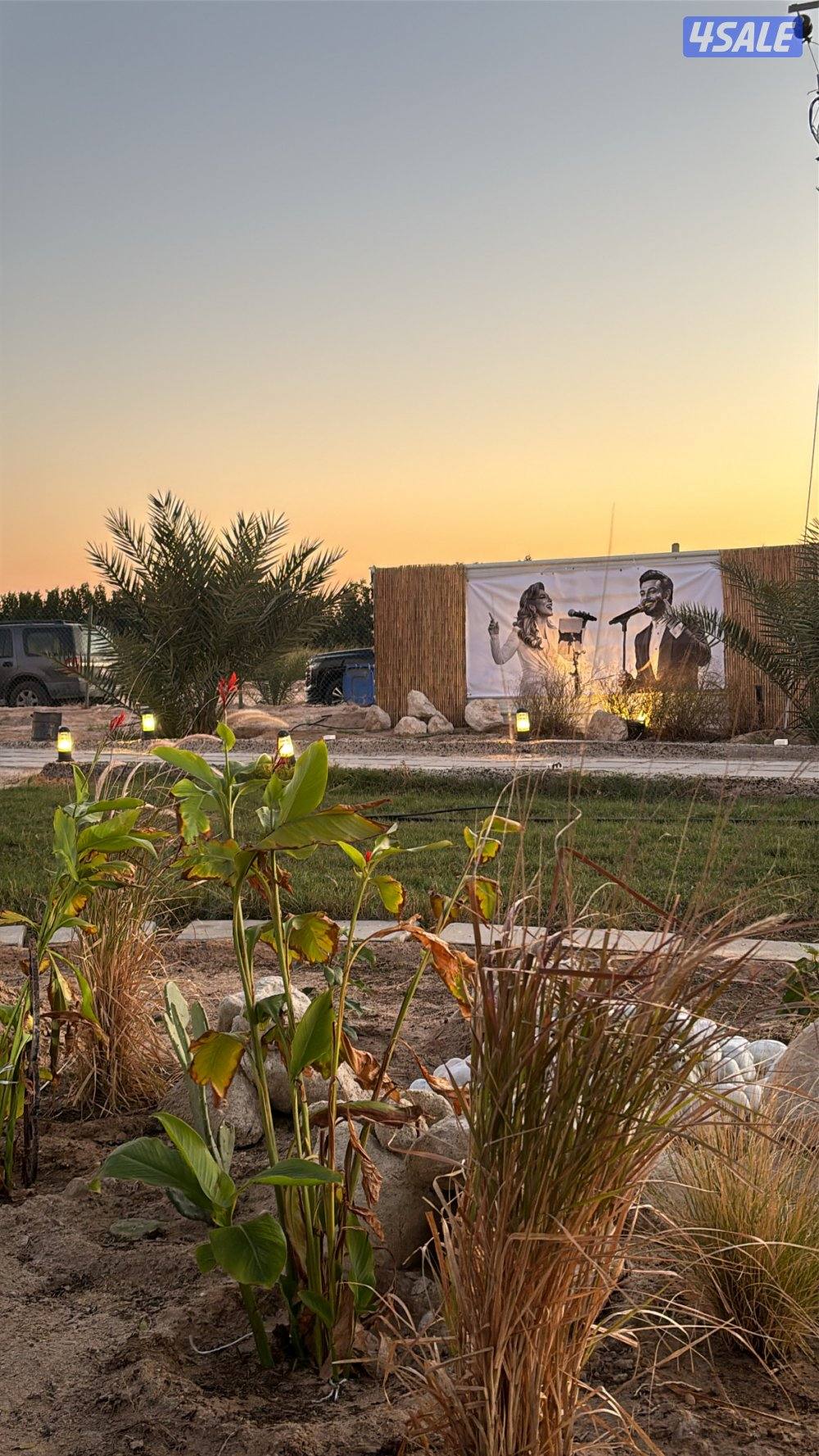 للايجار مزرعة VIP شارع الفلاح7