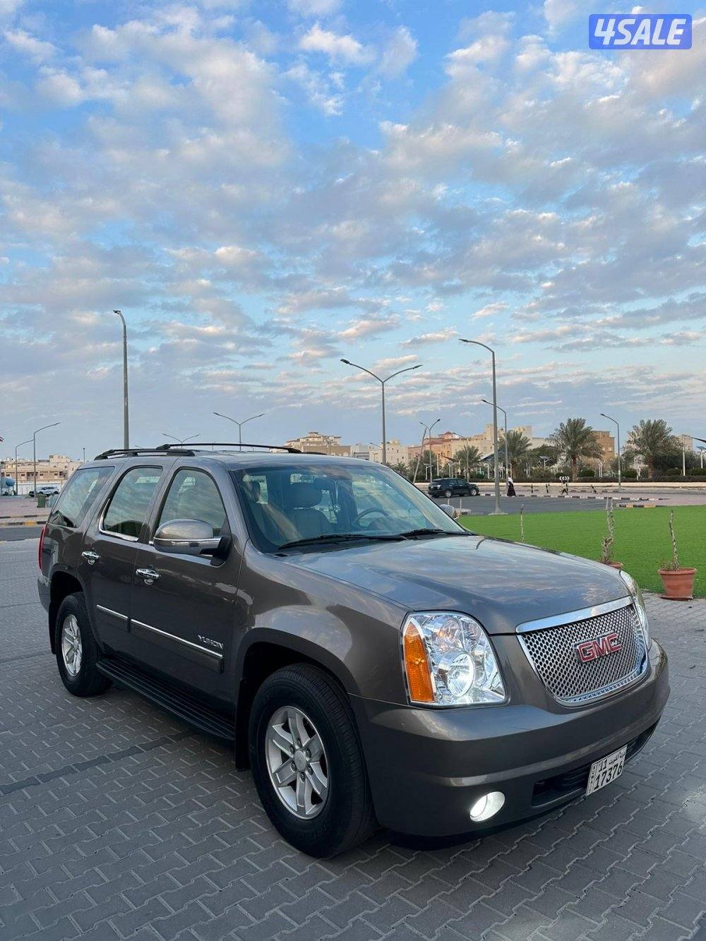 2013 صبغ وكاله2