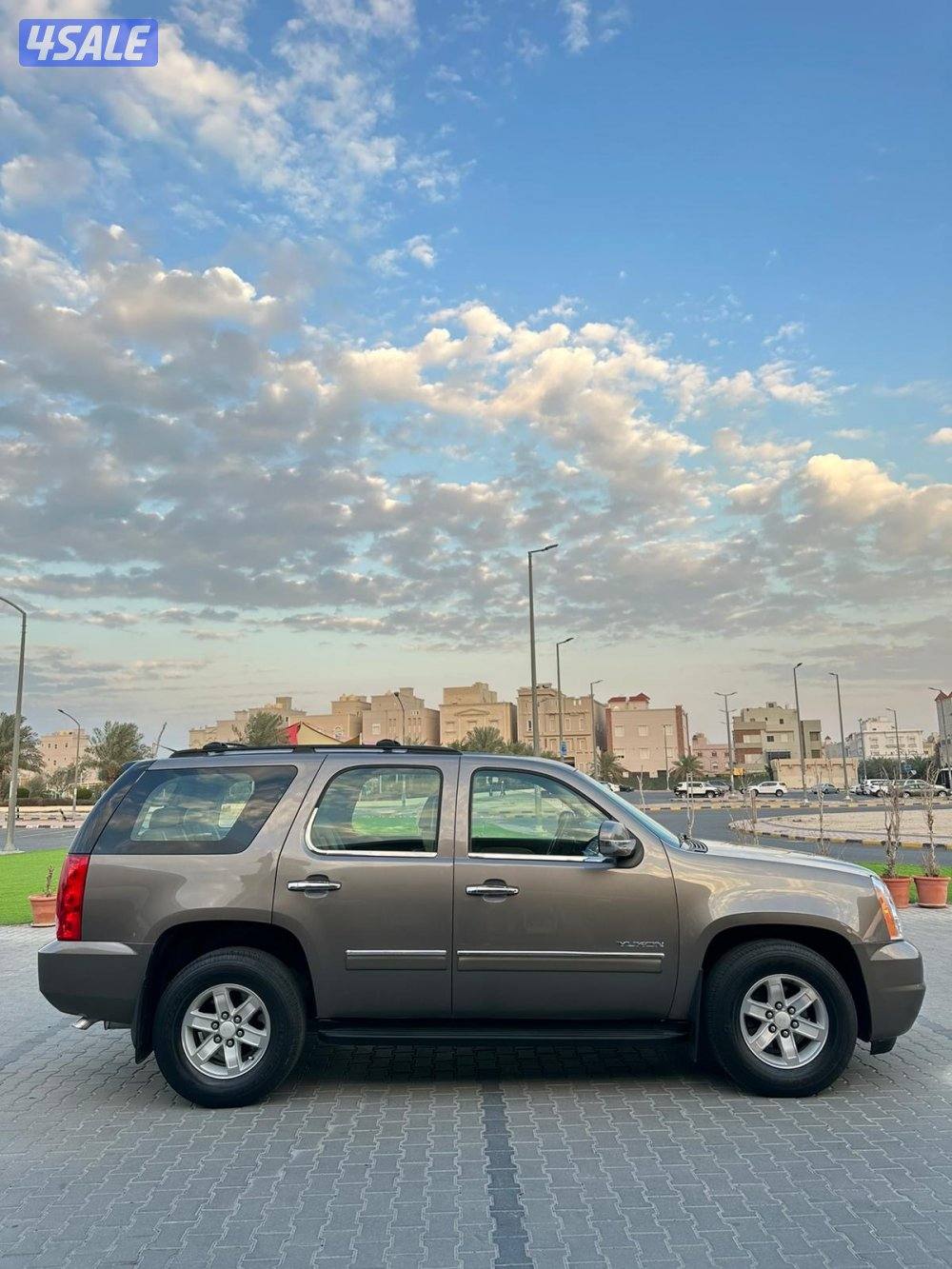 2013 صبغ وكاله4